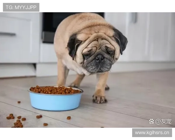 凯恩家冰箱里塞满蛋白粉，连狗粮都是低脂的